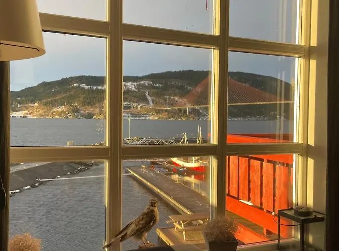 Spacious With View Over The Trondheimfjord Apartment *